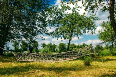 Yeşil orman hamakta ile tembel zaman dinlendirici. Hamak yaz Bahçe, güneşli gün havada sallanan ile güzel bir manzara. Seyahat, Macera, kamp malzemeleri, doğa açık havada öğeleri.