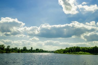 Nehrin Zuari Goa, Hindistan Hint demiryolu Köprüsü'nün panoramik görünüm