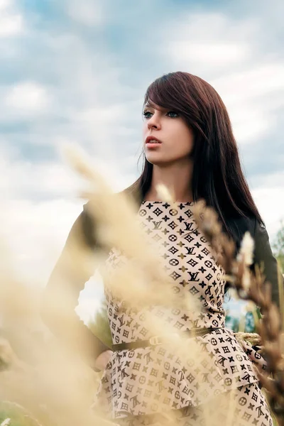 Güzel bir kadın papatya tarlasından zevk alıyor, güzel bir kadın çiçek bahçesinde uzanıyor, güzel bir kız dışarıda dinleniyor, eğleniyor, çiçek tutuyor, mutlu genç bayan ve bahar yeşili doğa, uyum kavramı.