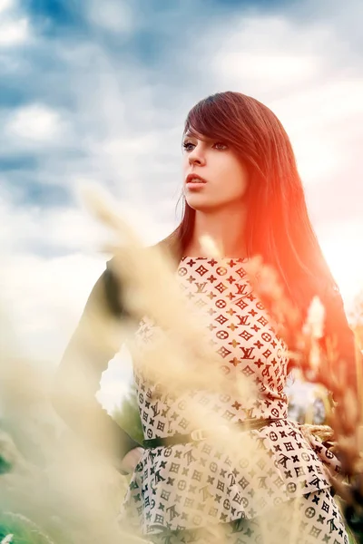 Güzel bir kadın papatya tarlasından zevk alıyor, güzel bir kadın çiçek bahçesinde uzanıyor, güzel bir kız dışarıda dinleniyor, eğleniyor, çiçek tutuyor, mutlu genç bayan ve bahar yeşili doğa, uyum kavramı.