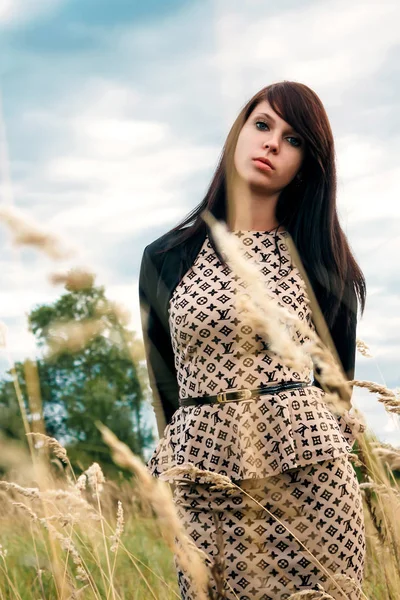 Güzel bir kadın papatya tarlasından zevk alıyor, güzel bir kadın çiçek bahçesinde uzanıyor, güzel bir kız dışarıda dinleniyor, eğleniyor, çiçek tutuyor, mutlu genç bayan ve bahar yeşili doğa, uyum kavramı.