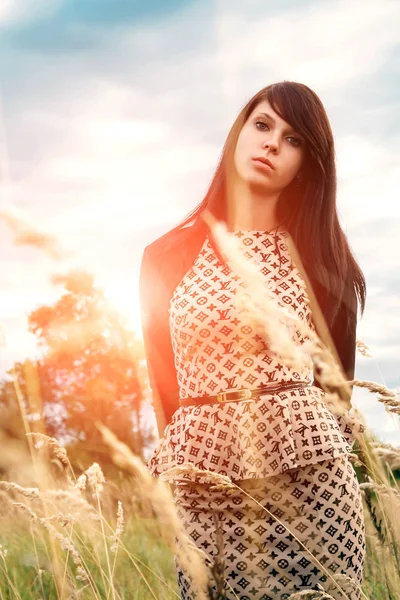 Güzel bir kadın papatya tarlasından zevk alıyor, güzel bir kadın çiçek bahçesinde uzanıyor, güzel bir kız dışarıda dinleniyor, eğleniyor, çiçek tutuyor, mutlu genç bayan ve bahar yeşili doğa, uyum kavramı.