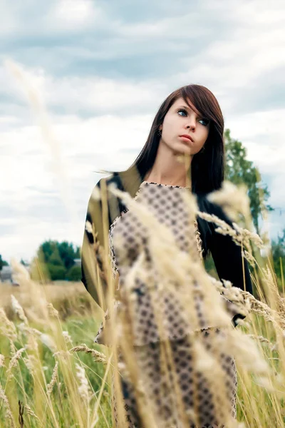 Güzel bir kadın papatya tarlasından zevk alıyor, güzel bir kadın çiçek bahçesinde uzanıyor, güzel bir kız dışarıda dinleniyor, eğleniyor, çiçek tutuyor, mutlu genç bayan ve bahar yeşili doğa, uyum kavramı.