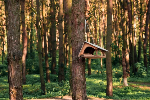 Vogelhuisje Een Boom Forest Park Hand Hout Opvang Voor Vogels — Stockfoto