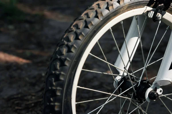 Bicicleta Naturaleza Rural —  Fotos de Stock