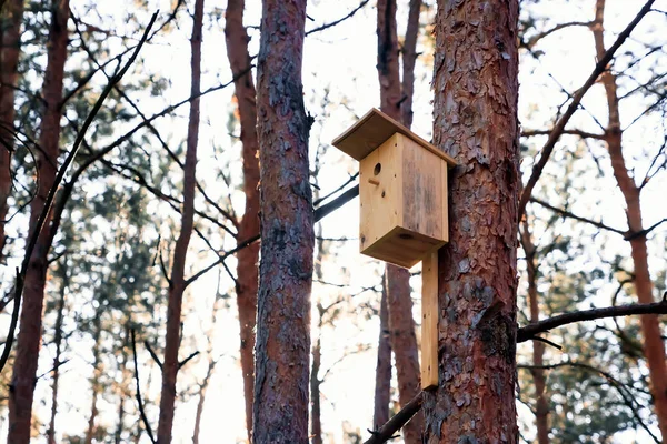Forest Park Ahşap Barınak Kuşları Kışı Geçirmek Için Bir Ağaçta — Stok fotoğraf