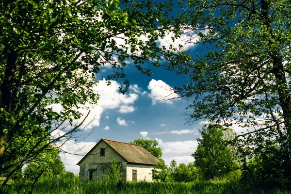 Dům Lese Proti Modré Obloze — Stock fotografie