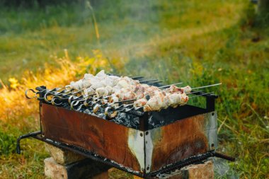 Barbekü, et kavrulmuş, et şiş, Barbekü, kömür ızgara et