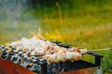 Barbekü, et kavrulmuş, et şiş, Barbekü, kömür ızgara et