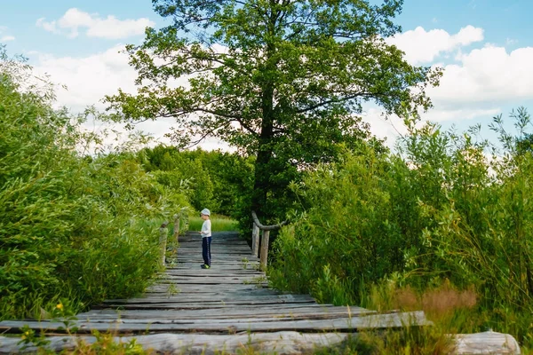 Мальчик Стоит Деревянном Мосту Через Реку Голубое Небо — стоковое фото