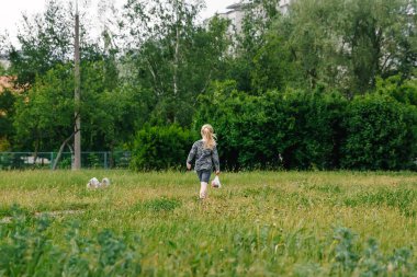 Güzel genç bir kadın sonbaharda parkta köpeğiyle oynuyor..