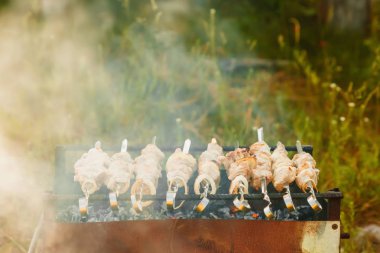 Barbekü, et kavrulmuş, et şiş, Barbekü, kömür ızgara et