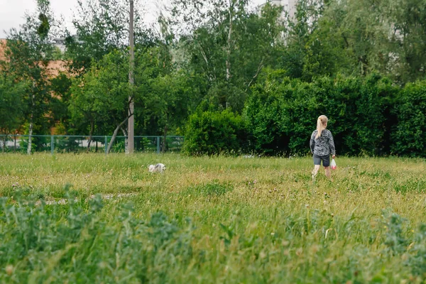 Hermosa Joven Jugando Con Perro Parque Otoño —  Fotos de Stock