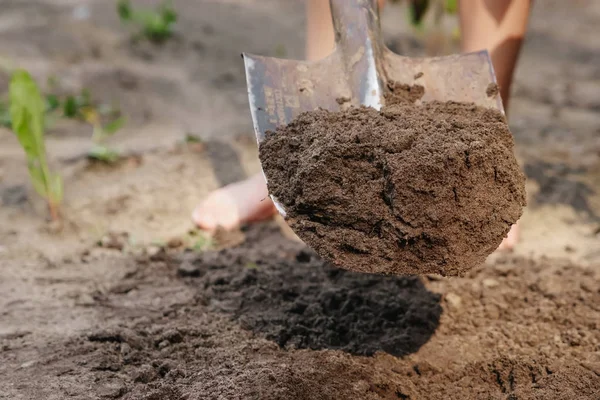 Närbild Spade Marken — Stockfoto