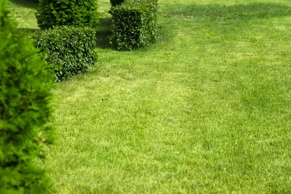 green lawn,garden landscape design