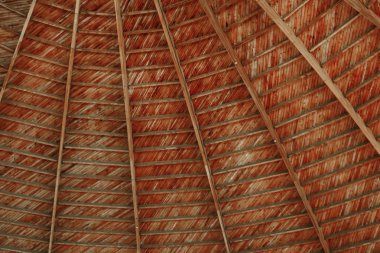 ahşap arka plan doku mimarisi, en yüksek kubbe altında