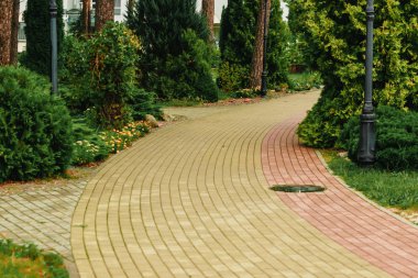 Yeşil tünel bambu bitkisel arka plan, peyzaj.