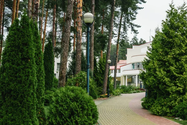 Grüne Tunnel Bambus Vegetativen Hintergrund Landschaft — Stockfoto