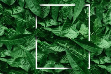 Çiçeklerden ve kağıt kart notlu yapraklardan oluşan yaratıcı bir düzen. Düz yatıyordu. Doğa konsepti