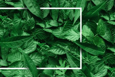 Çiçeklerden ve kağıt kart notlu yapraklardan oluşan yaratıcı bir düzen. Düz yatıyordu. Doğa konsepti