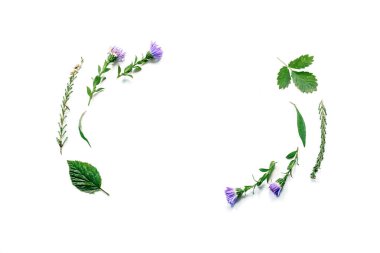 Beyaz arka planda çiçekler, dallar, yapraklar ve yapraklarla izole edilmiş bir çerçeve. düz uzan, tepeden bak