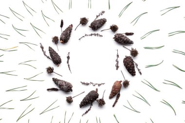 Beyaz arka plan üzerinde izole koniler, çerçeve yaptı. düz tasarım, üstten görünüm. Yeni yıl, yılbaşı arka plan.