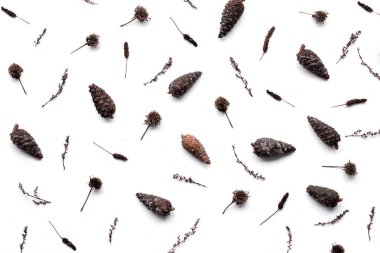 Noel süsleri, gümüş çam kozalağı beyaz arka plan üzerinde gümüş. Düz yatıyordu, en iyi görünüm. Noel desen