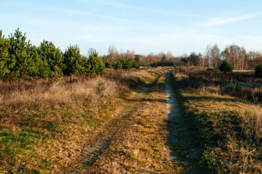 Bu alanın bir ülkede yol sonbahar. Doğal tasarım