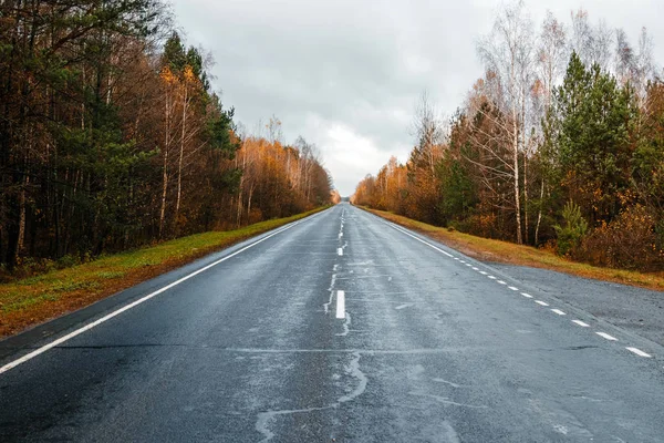 Yol Otoyol Sonbahar Orman Karaçam Çam Manzara Gün — Stok fotoğraf