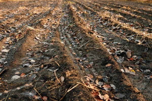 Kış Kahverengi Toprak Önce Sürülmüş Alanı — Stok fotoğraf