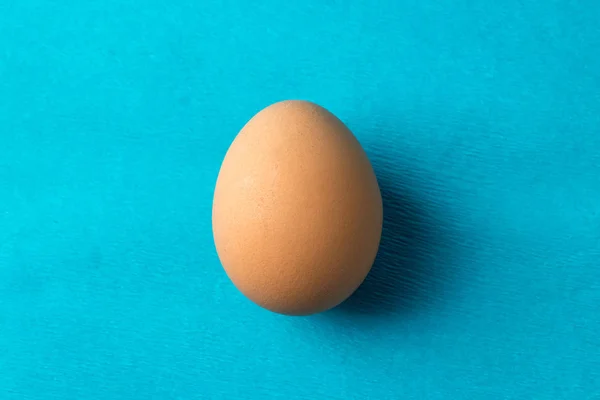 Red, chicken egg on a blue background — Stock Photo, Image