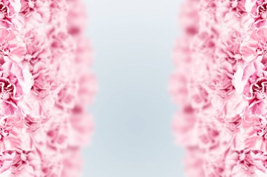 Bahar arka plan, pembe, kırmızı ve beyaz karanfiller hafif bir arka plan üzerinde. Çiçek arka plan. alanı, düz yatıyordu, en iyi görünüm, karışık teknik kopyalayın. Sevgililer günü, 8 Mart