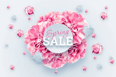 Bahar arka plan, pembe, kırmızı ve beyaz karanfiller hafif bir arka plan üzerinde. Yazıt bahar satış. Çiçek arka plan. alanı, düz yatıyordu, en iyi görünüm, karışık teknik kopyalayın. Sevgililer günü, 8 Mart