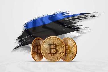 Kripto para birimi, altın sikke Bitcoin Btc. bozuk para bitcoin Estonya bayrağı arka planı. Kavramı yeni bir para, Blockchain teknoloji, bir belirteç. Karışık teknik