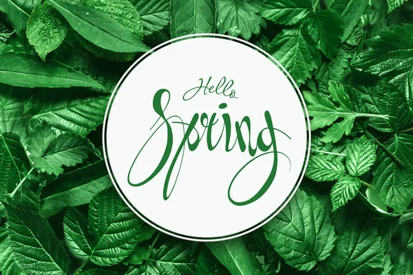 Handwritten inscription hello spring. Spring floral natural background. Copy space.