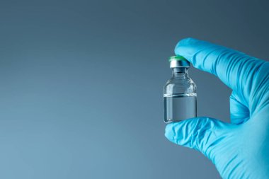 Hand in a blue glove holds a bottle with a vaccine close-up on a gray background, medical concept vaccination subcutaneous injection, dose. Disease treatment immunization.