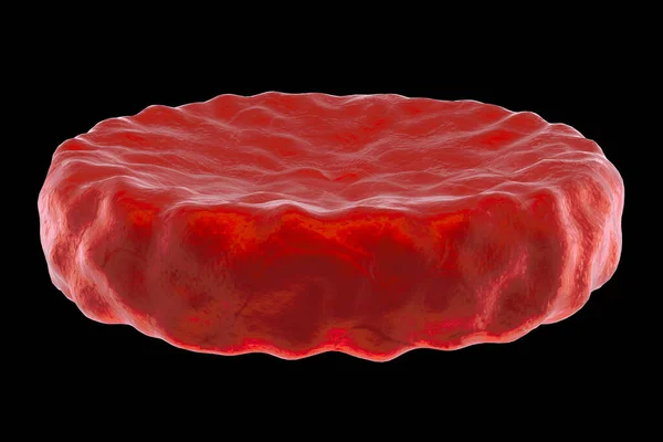 Клітини Червоної Крові Еретроцити Ізольовані Чорному Тлі Медична Концепція Ілюстрація — стокове фото