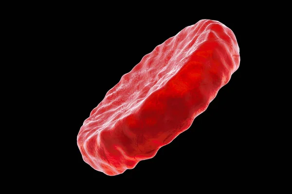 Клітини Червоної Крові Еретроцити Ізольовані Чорному Тлі Медична Концепція Ілюстрація — стокове фото