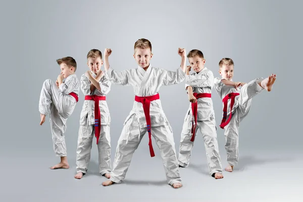 Niño Kimono Diferentes Posturas Karate Sobre Fondo Claro Concepto Lección — Foto de Stock