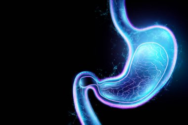 Mide hologramı, endoskopi prosedürü. Sindirim sistemi ve mide hastalığı konsepti. 3B görüntüleme, 3B resimleme