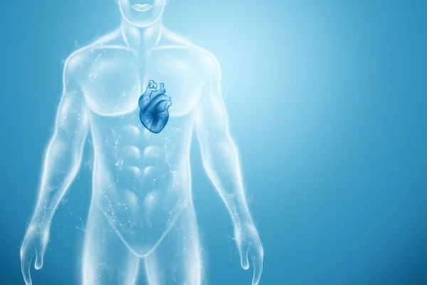 Hologram of the heart in the human body, heart disease. health care of the future. Modern medical science, diagnostics. 3D illustration, 3D rendering