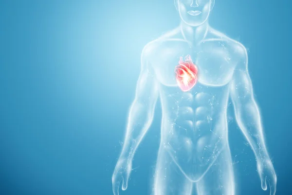Hologram of the heart in the human body, heart disease. health care of the future. Modern medical science, diagnostics. 3D illustration, 3D rendering