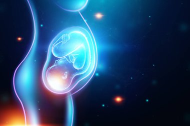 Fetüs pozisyonunda bir çocuk, kızın karnında bir embriyo, bir hologram. Hamilelik konsepti, yapay döllenme, tıbbi muayene, tıbbın geleceği. 3B illüstrasyon, 3B canlandırma
