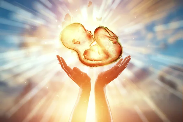 人工受精 在手上 胎儿的姿势 怀孕概念 体格检查 医药的未来 — 图库照片