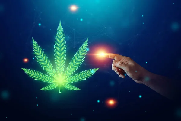 Male Hands Marijuana Sign Hemp Leaf Cannabis Consumer Symbol Concept — Stock Photo, Image