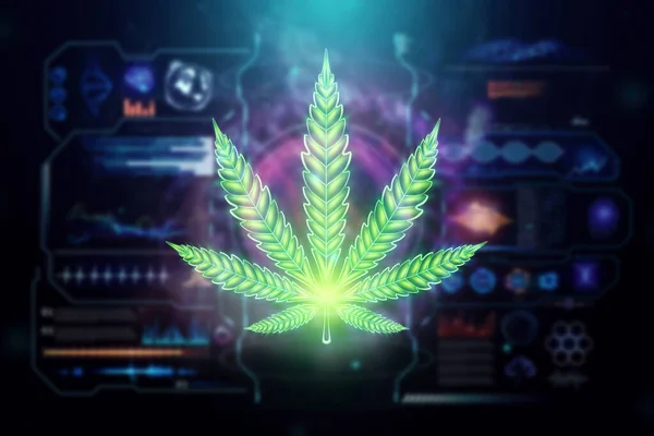 Marihuána Kannabiszlevél Fogyasztói Kannabisz Szimbólum Fekete Alapon Elkülönítve Marihuána Legalizálásának — Stock Fotó