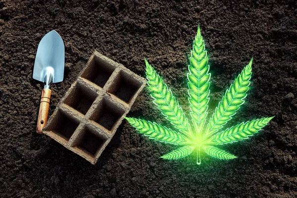 Cannabis Leaf Marijuana Cannabis Consumer Symbol Concept Legalization Marijuana Criminal — Stock Photo, Image