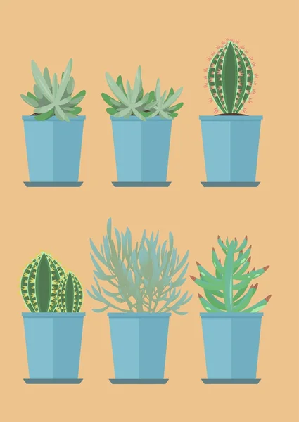 Différents Types Succulents Dans Des Pots Bleus — Image vectorielle