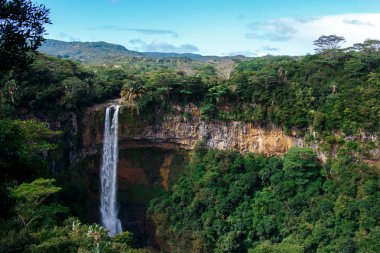 Natural landscape of Mauritius Island where you can see a high altitude waterfall clipart