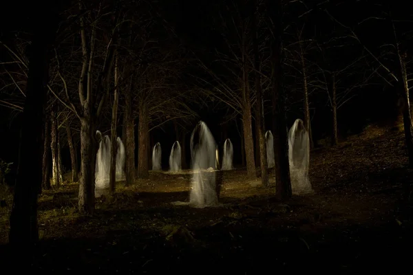 Ghost family in the dark forest — Stock Photo, Image